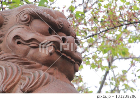 四国霊場第64番札所「前神寺」狛犬 四国霊場第64番札所「前神寺」狛犬 131238286