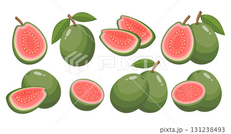 Fresh guava fruits collection, whole, halved and sliced. Healthy fruit illustration.. Tropical fruit set. 131238493