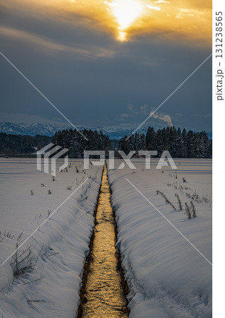 夕日に染まる水路 131238565