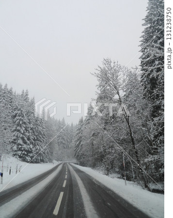 Snowy road with trees in the background Snowy road with trees in the background 131238750