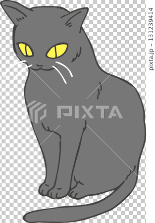 Black cat  Black cat  131239414