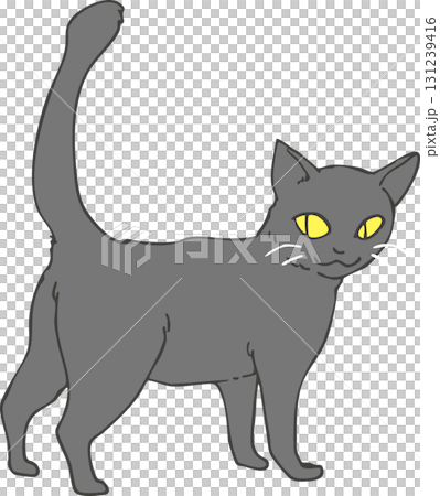 Black cat  Black cat  131239416