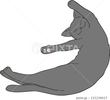 黒猫 131239417