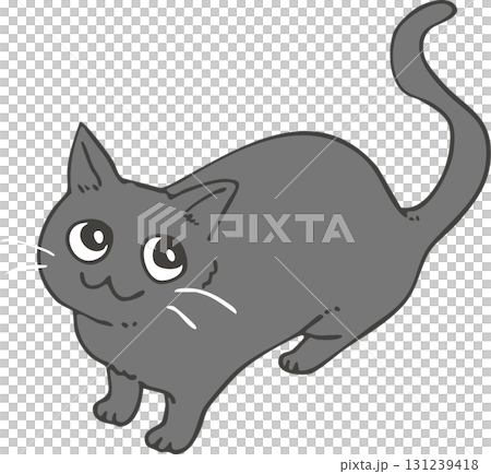 Black cat  Black cat  131239418