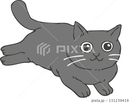 黒猫 黒猫 131239419