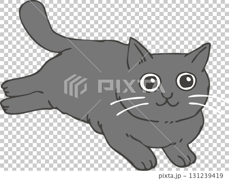 Black cat  Black cat  131239419