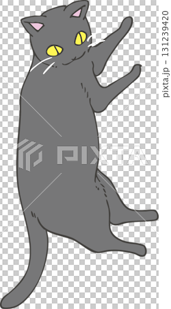 Black cat  Black cat  131239420
