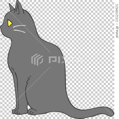 Black cat  Black cat  131239421