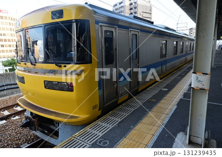 ドクター東海(キヤ95-102) ドクター東海(キヤ95-102) 131239435