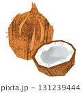 切り絵風のココナッツ 切り絵風のココナッツ 131239444