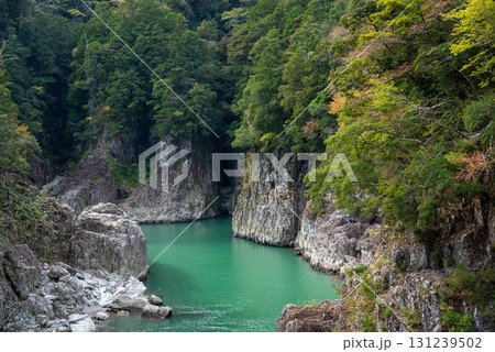 三重県 奈良県 和歌山県 瀞峡の風景 三重県 奈良県 和歌山県 瀞峡の風景 131239502
