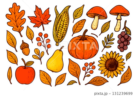 秋のカラフルな野菜や植物 131239699