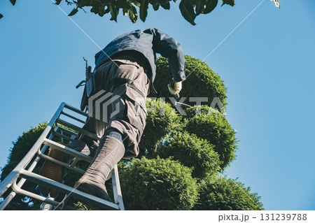 Japanese Gardener 131239788