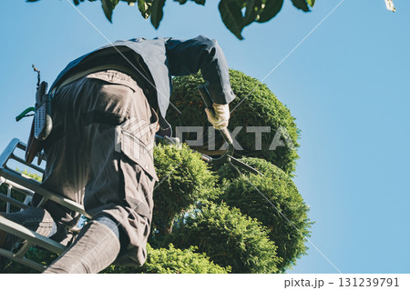 Japanese Gardener Japanese Gardener 131239791