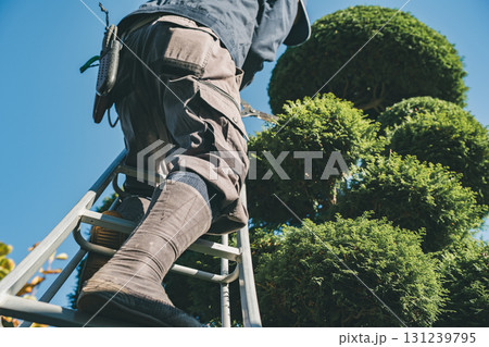 Japanese Gardener 131239795