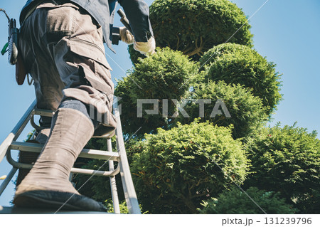Japanese Gardener Japanese Gardener 131239796