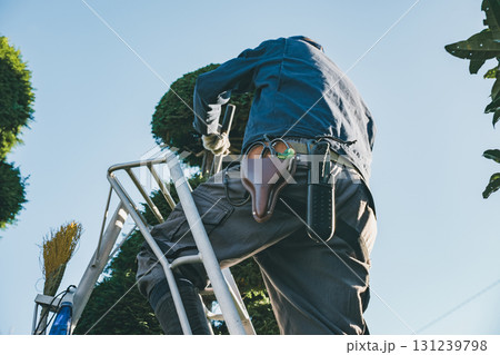 Japanese Gardener 131239798