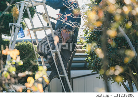 gardener 131239806