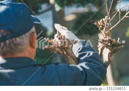 Japanese Gardener 131239815