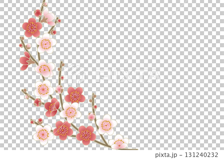 A Japanese-style vector illustration of gorgeously blooming plum blossoms 131240232