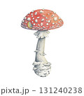 Watercolor fly agaric mushroom illustration in fairytale style. Hand-painted amanita. The mushroom is perfect for autumn decor, forest composition, magical seasonal design 131240238