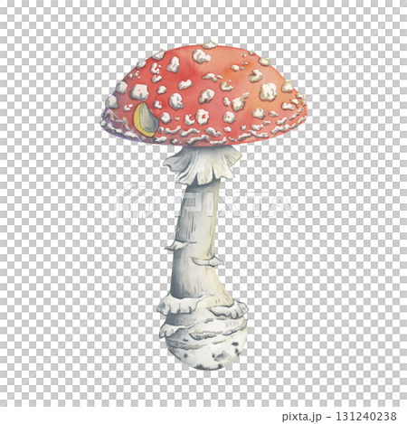 Watercolor fly agaric mushroom illustration in fairytale style. Hand-painted amanita. The mushroom is perfect for autumn decor, forest composition, magical seasonal design Watercolor fly agaric mushroom illustration in fairytale style. Hand-painted amanita. The mushroom is perfect for autumn decor, forest composition, magical seasonal design 131240238