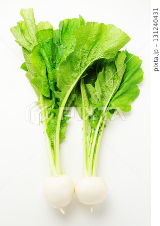 かぶ・かぶら・蕪・白い小かぶ かぶ・かぶら・蕪・白い小かぶ 131240431