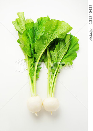 かぶ・かぶら・蕪・白い小かぶ かぶ・かぶら・蕪・白い小かぶ 131240432