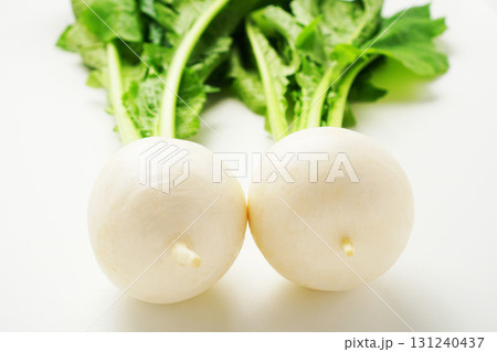 かぶ・かぶら・蕪・白い小かぶ かぶ・かぶら・蕪・白い小かぶ 131240437