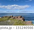 カナダ最東端の地スピア岬から大西洋を望む 131240566