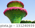 Floral installations under blue sky. Big multi-tiered structures composed of green bamboo. The tops and edges are adorned of small, bright pink flowers.   Nature, garden, eco. Copy space 131240939