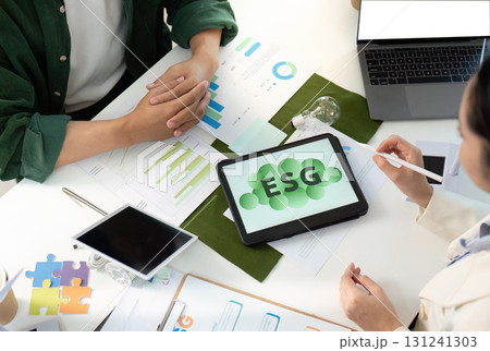 ESG Analysis and Strategy Development in Professional Setting ESG Analysis and Strategy Development in Professional Setting 131241303