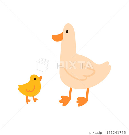 Mother duck standing with duckling simple flat illustration isolated on white. Domestic birds with orange beaks and legs. Great for kids content, nursery prints, farm and animal themes 131241736