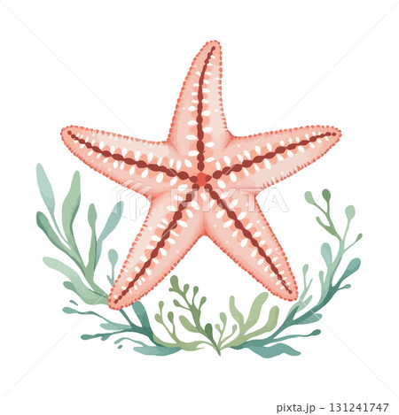 Vsai watercolor starfish surrounded by seaweed on white background Vsai watercolor starfish surrounded by seaweed on white background 131241747