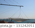 Fishing net hanging from a crane over the sea 131242051