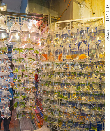Bags of Goldfish Hong Kong Bags of Goldfish Hong Kong 131243137