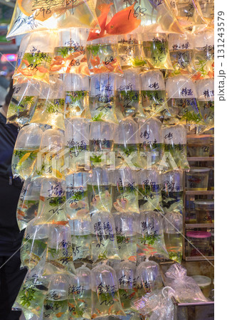 Fish Species in Bags 131243579