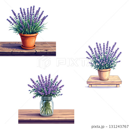 Vsai lavender flowers in pot and vase resting on rustic wooden shelves Vsai lavender flowers in pot and vase resting on rustic wooden shelves 131243767