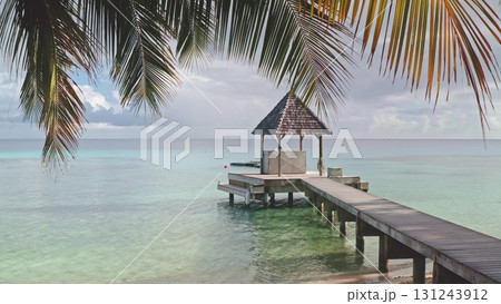 French Polynesia, Rangiroa island: Framing wooden pier with gazebo, palm trees surround turquoise lagoon. Light clouds drift above, creating a peaceful atmosphere perfect for relaxation or exploration 131243912