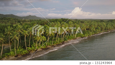 Fiji island: beautiful wild beach coastline with palm trees meets with lush green tropical rainforest, showcasing the natural beauty of a tropical paradise ocean landscape. Drone flight aerial 131243964