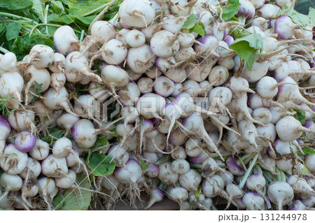 Backgrounds. Pile of organic turnips in a market Backgrounds. Pile of organic turnips in a market 131244978
