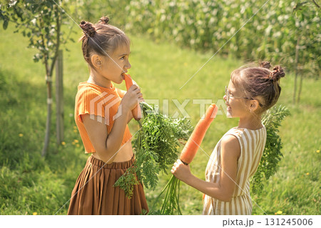 Two girls are talking in the garden, eating carrots. Proper healthy nutrition for preschool children 131245006