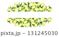 Watercolor frame of tropical fruit: yellow lemon, flowers and lemon leaves. The illustration is hand drawn, isolated on a white background. Suitable for menus, cosmetics, packaging, cards. 131245030