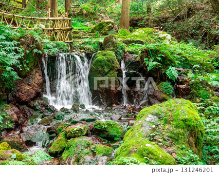 若狭瓜割名水公園 131246201