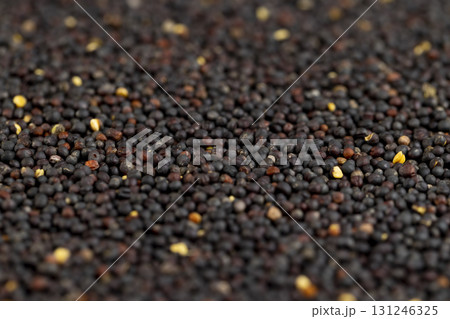 a large number of black rapeseed are used to produce rapeseed oil, black rapeseed is used to produce food products a large number of black rapeseed are used to produce rapeseed oil, black rapeseed is used to produce food products 131246325