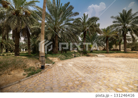 Luxury Modern Villa in Saudi Arabia Luxury Modern Villa in Saudi Arabia 131246416