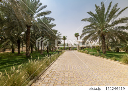 Luxury Modern Villa in Saudi Arabia Luxury Modern Villa in Saudi Arabia 131246419