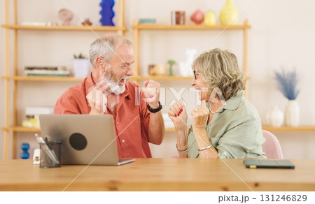 Excited senior couple celebrating success while using laptop at home 131246829