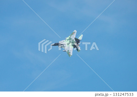 アグレッサー 131247533