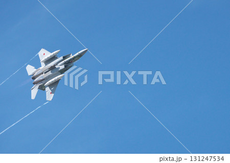 アグレッサー 131247534